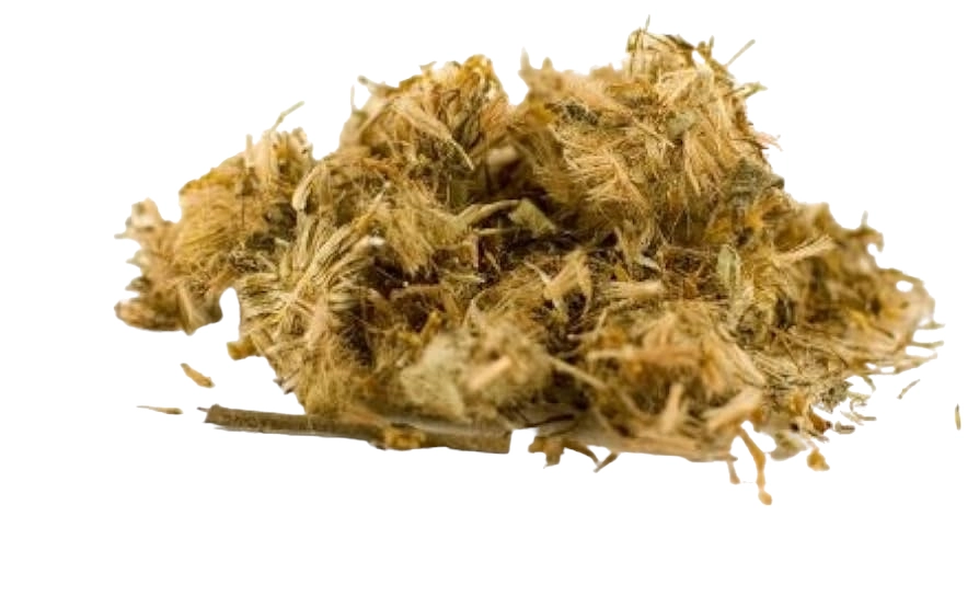 Arnica