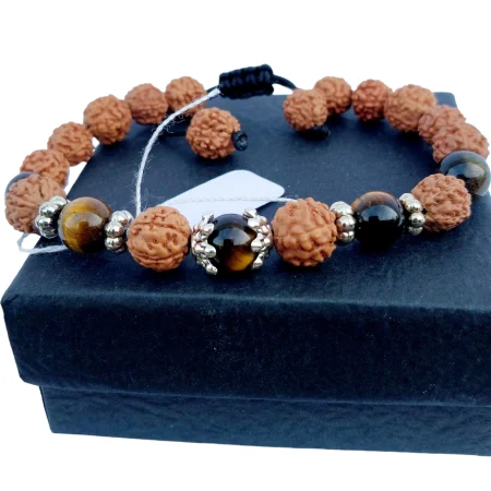 Rudraksha œil tigre
