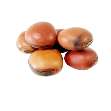 œil de bœuf (zié à béf)