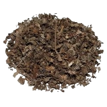 Patchouli