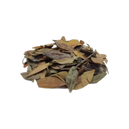Mastic feuille