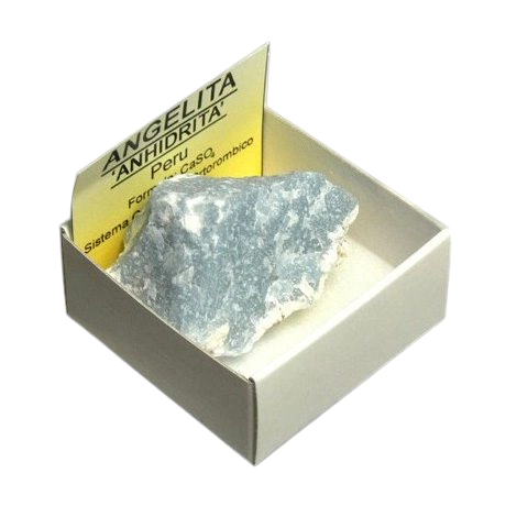 Célestine – Brute 4X4