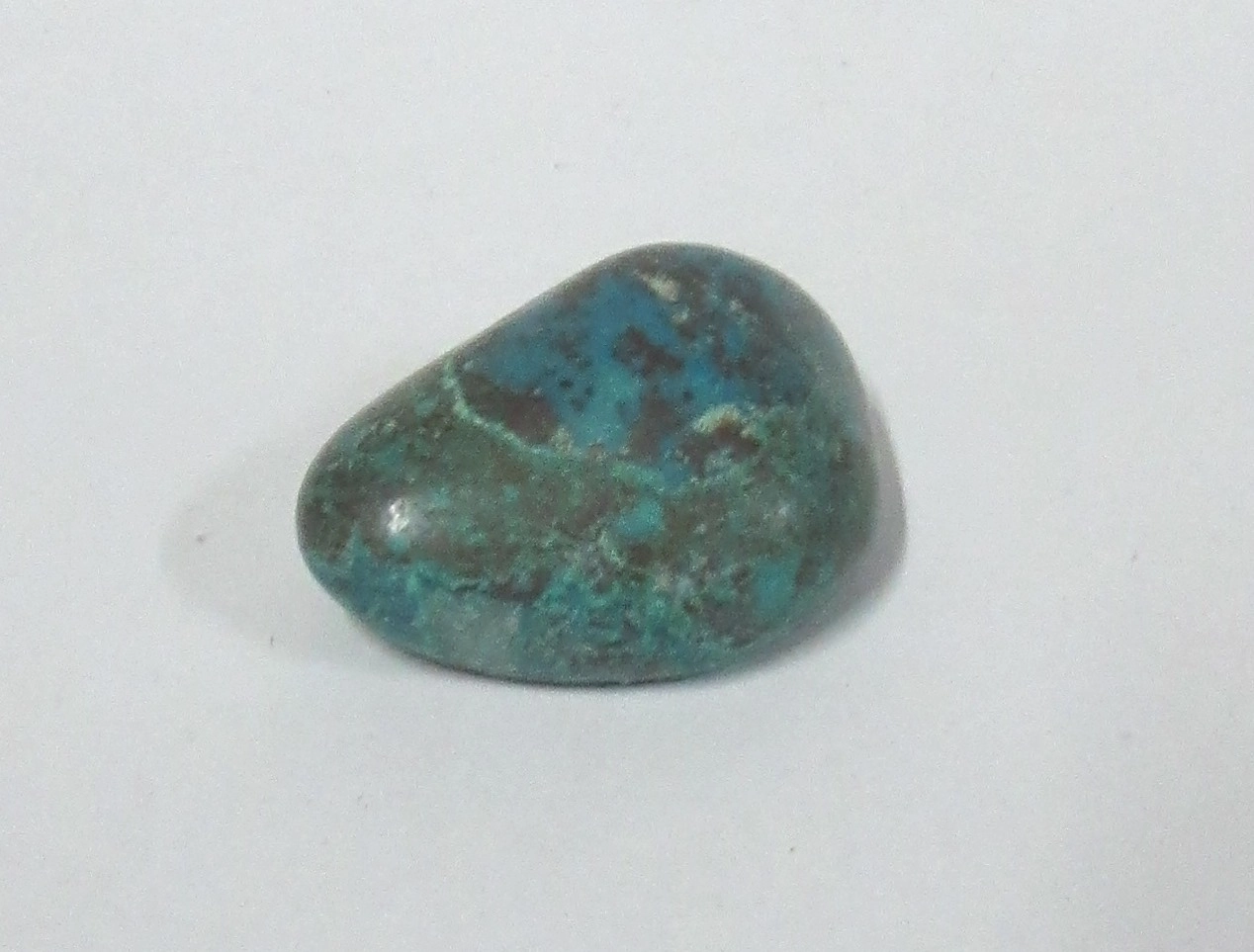 Chrysocolle