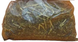 Herbe Sainte Luzia