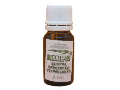 Eucalyptus