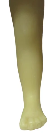 Jambe