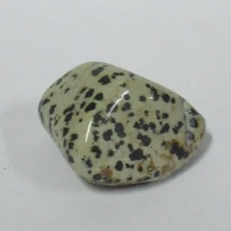Jaspe Dalmatien
