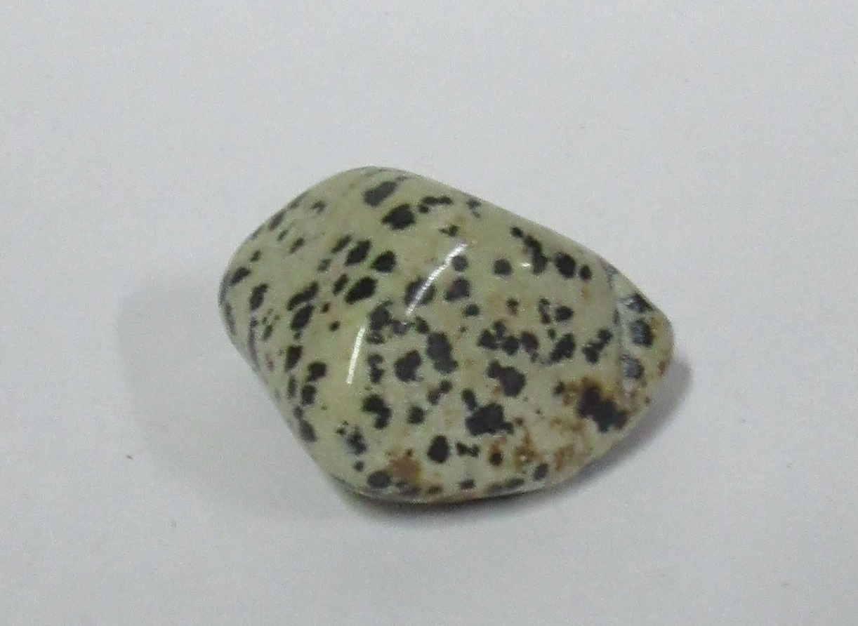 Jaspe Dalmatien