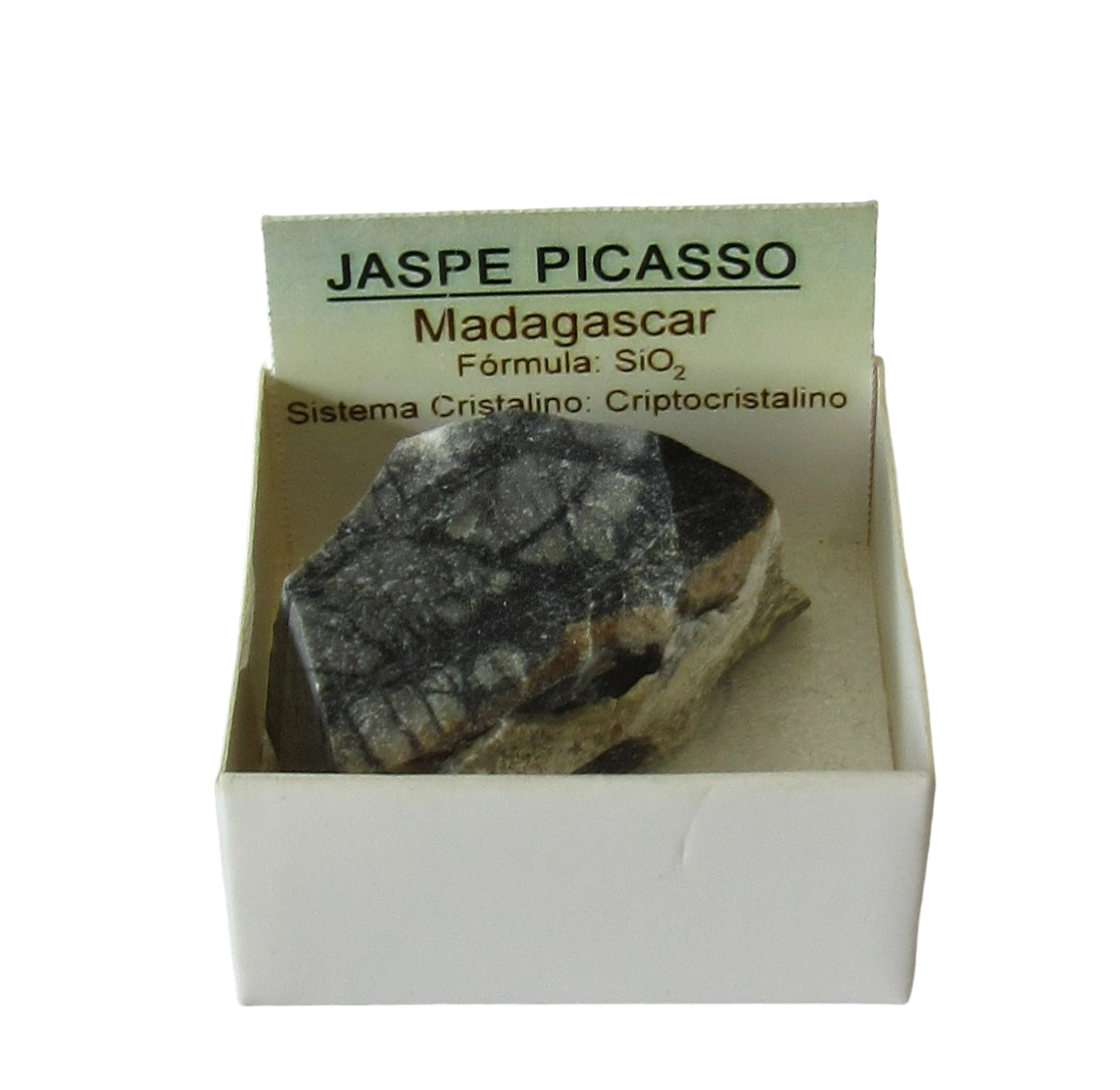 Jaspe Picasso