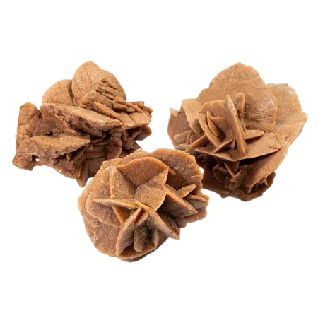 Rose Des Sables