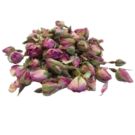 Rose de provins – Rosa gallica