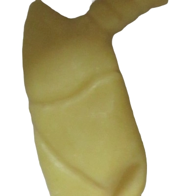 Poumons