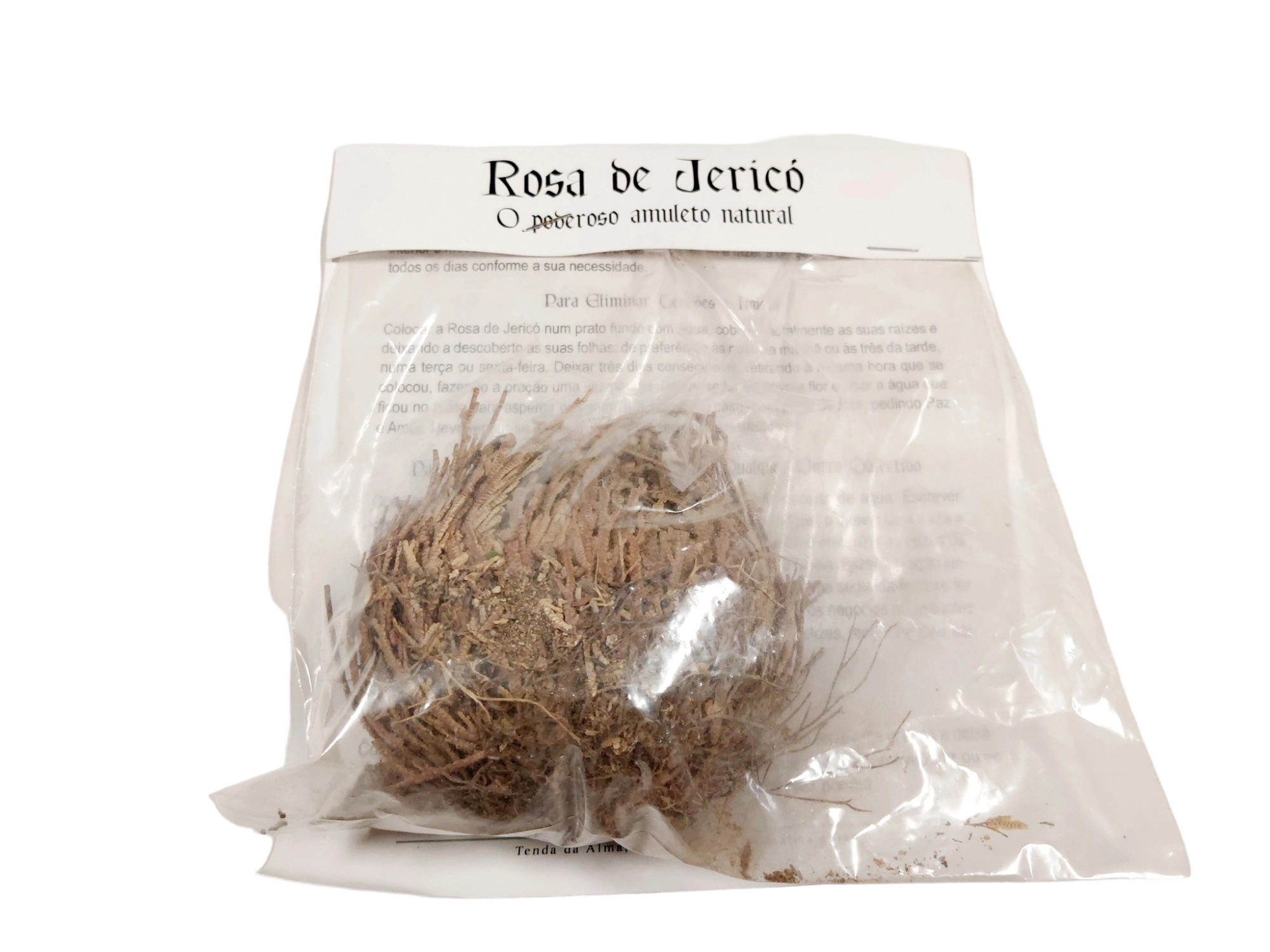 Rose Jéricho – Image 2