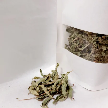 Verveine